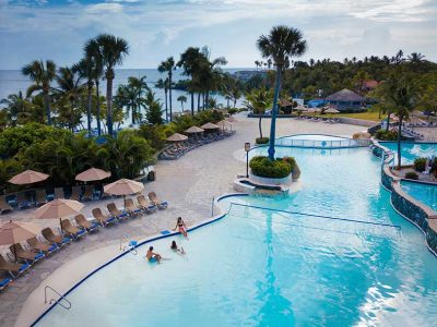 2018_Tropical_03-400x300